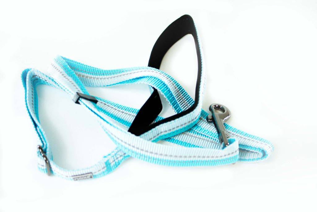 BEAM LEASH