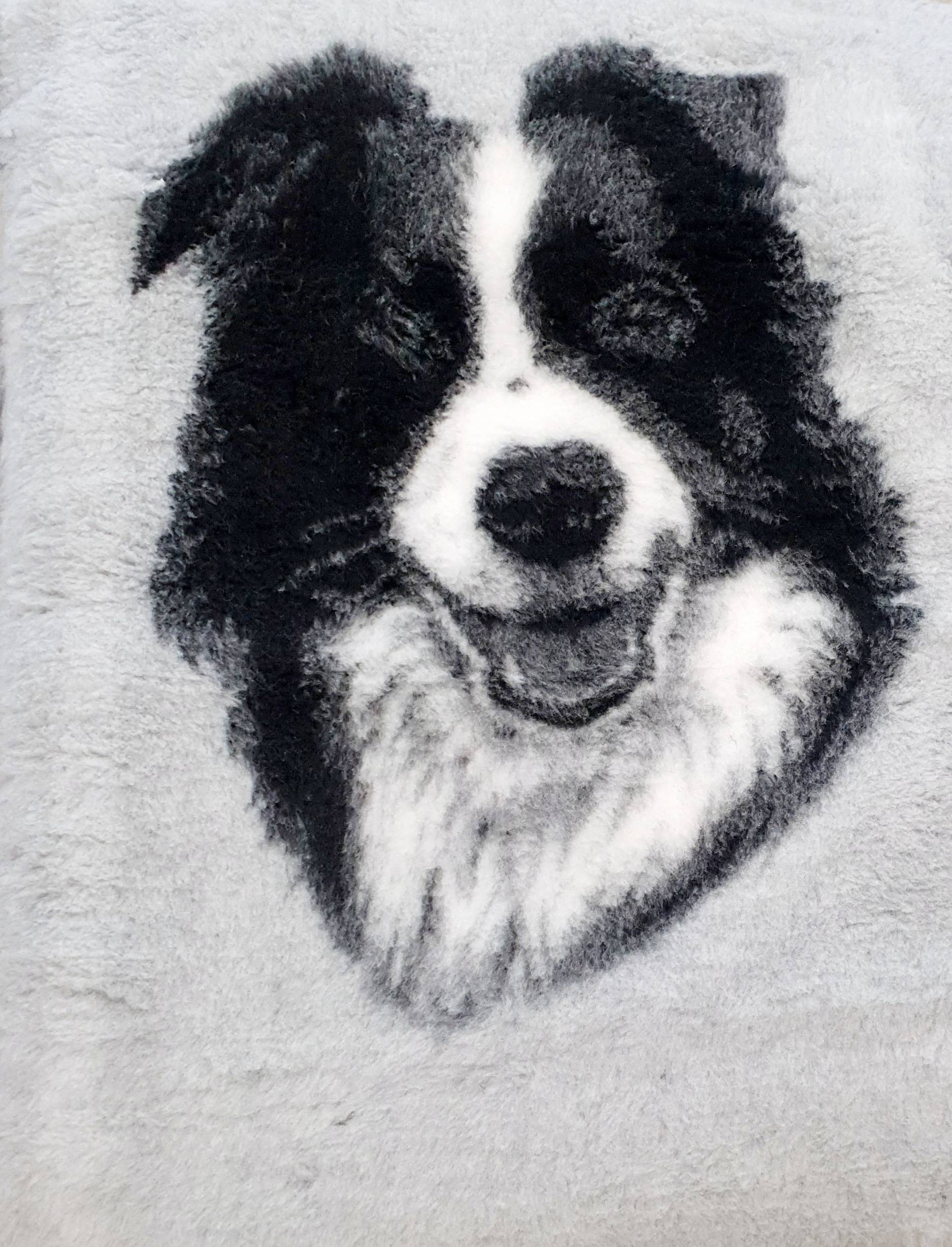 VETBED BORDER COLLIE