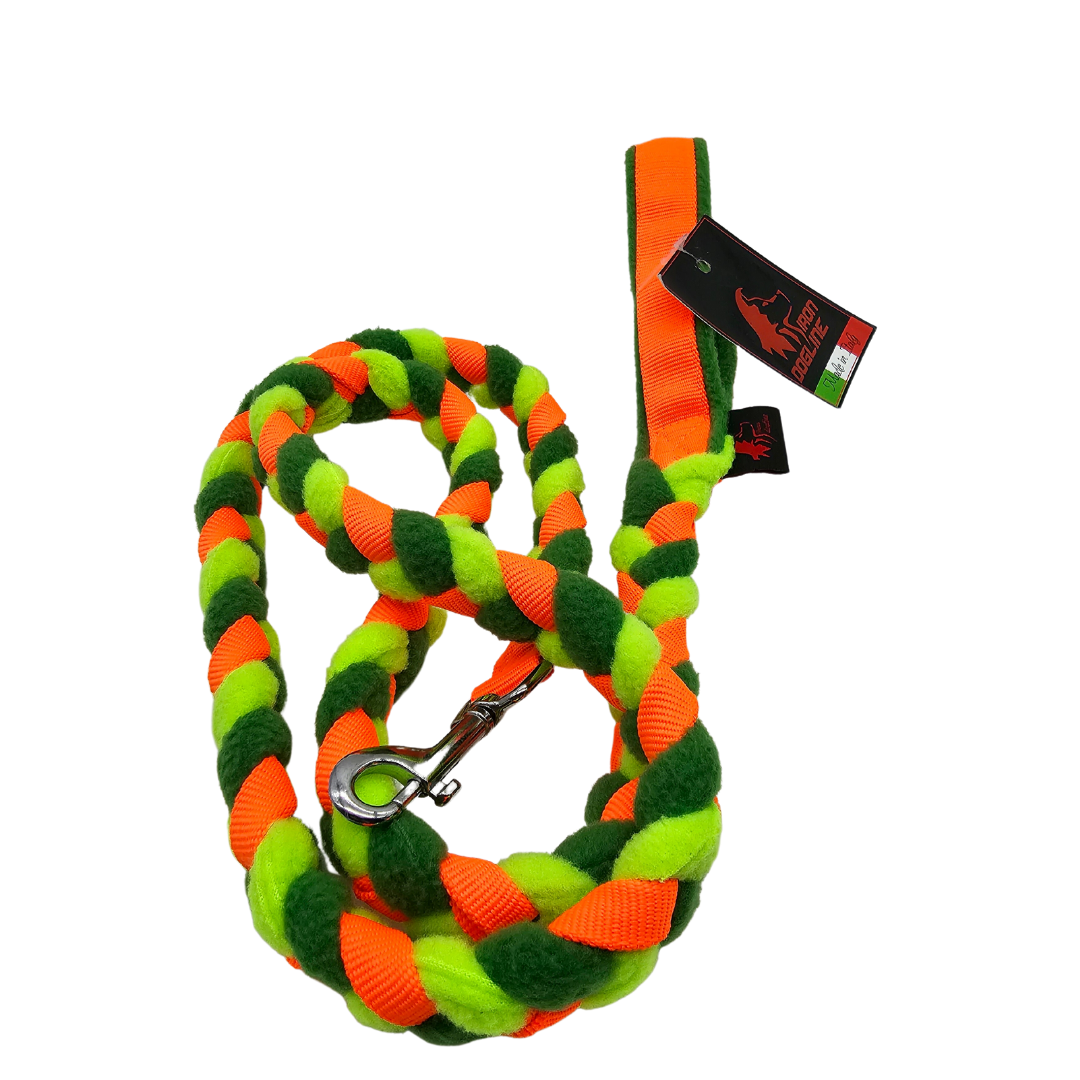 Foto: Bambina Che Porta Al Guinzaglio Il Cane