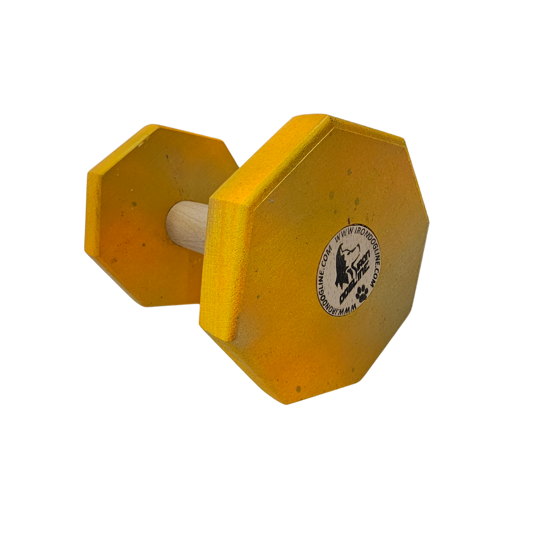 MULTICOLOR Dumbbell 