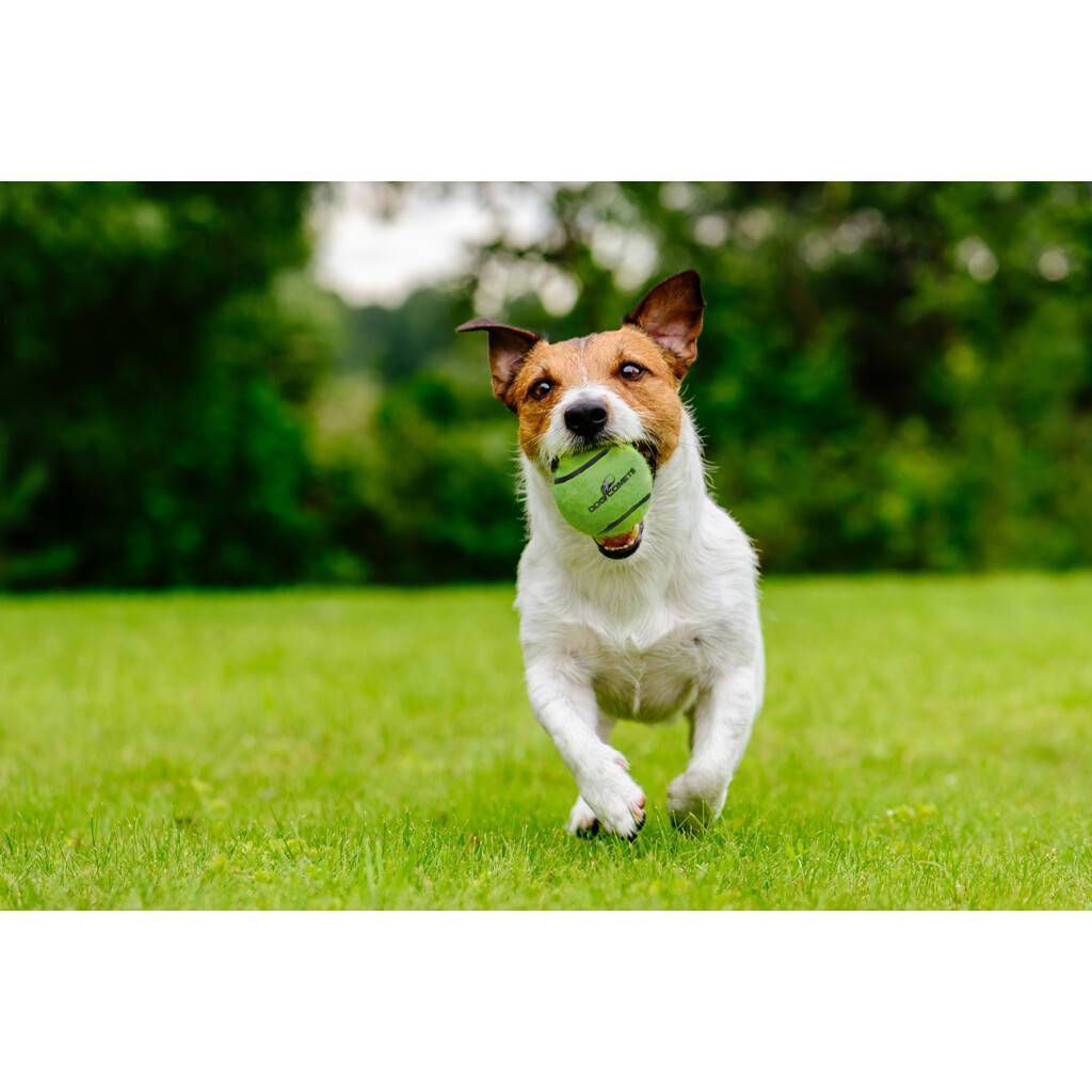 Dog Comets Neutron Star Tennis Ball With Squeaker 