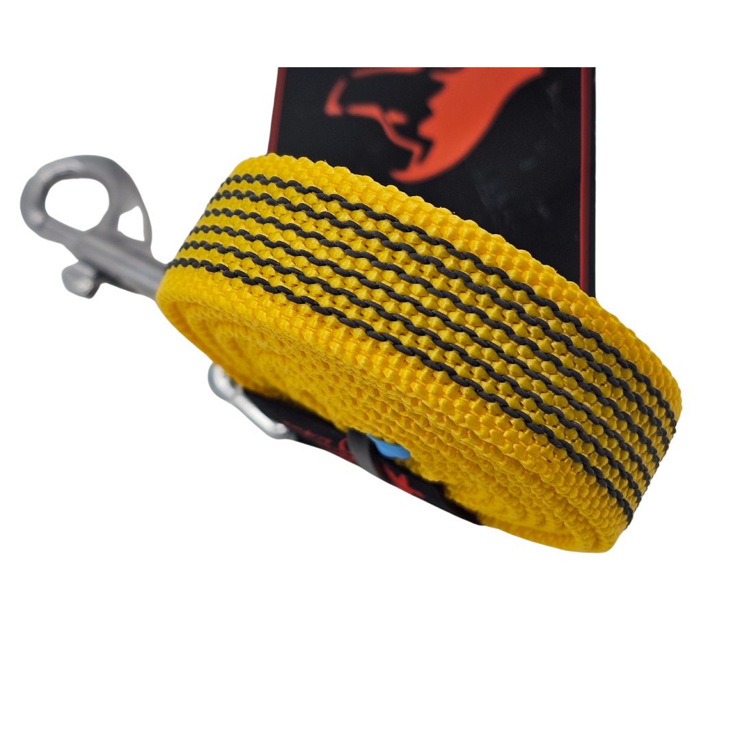 LUNGHINA ADDESTRAMENTO 