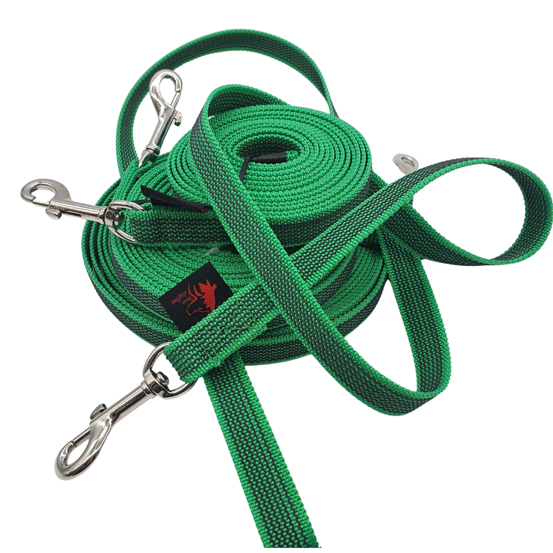 leash TRAINING EXTENSION