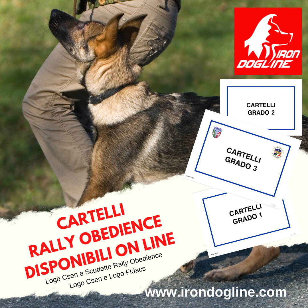KIT CARTELLI RALLY OBEDIENCE 