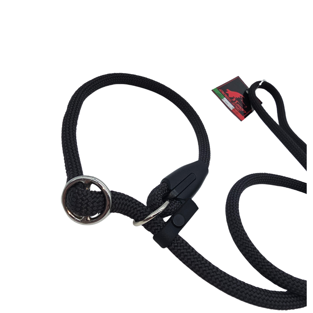 RETRIVER LEASH