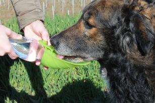 LEAF - DISPENSER ACQUA DA VIAGGIO IN SILICONE