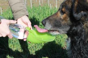 LEAF - DISPENSER ACQUA DA VIAGGIO IN SILICONE