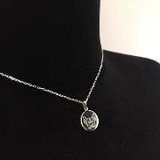 CIONDOLO BORDER COLLIE Face