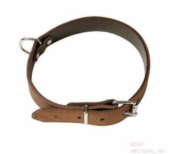 leather collar