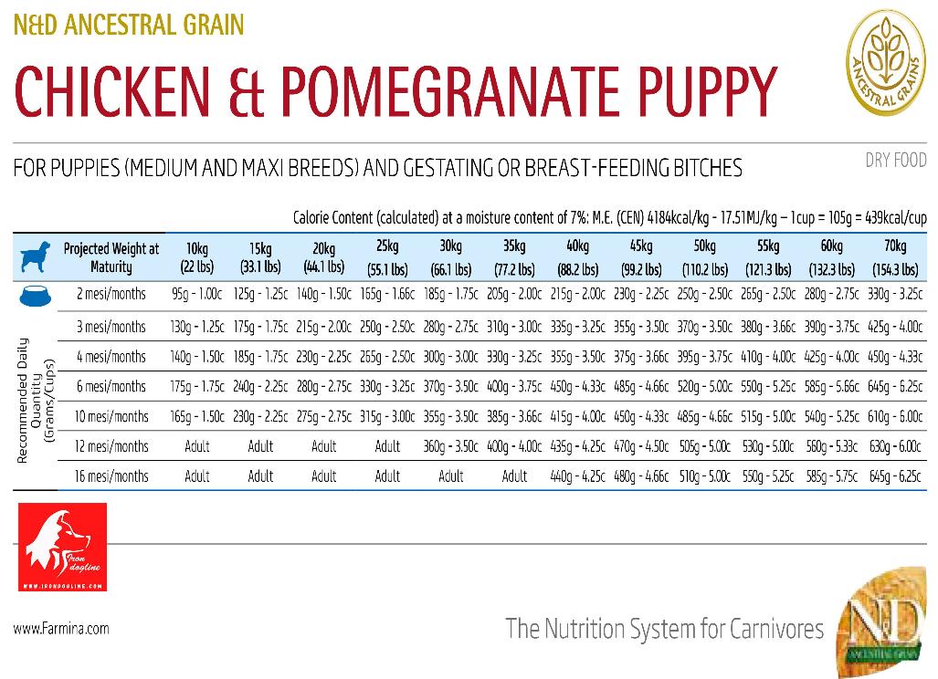 N&D ANCESTRAL PUPPY POLLO E MELOGRANO 