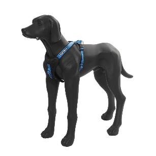 PROZONE SUPER HAENESS /PETTORINA SUPER