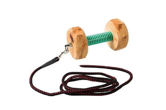 Riportello Addestramento