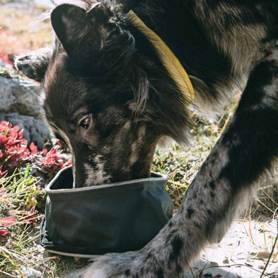 CIOTOLA DA VIAGGIO FOUNTAIN BOWL