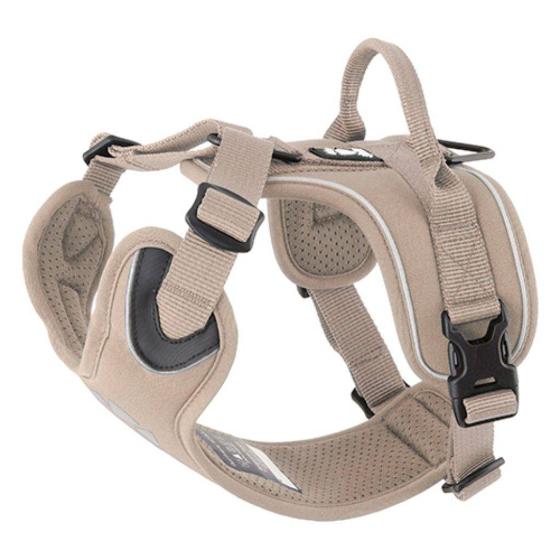 PETTORINA ACTIVE2