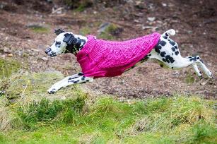 MAGLIONCINO RINFRANGENTE STARDUST KNITWEAR