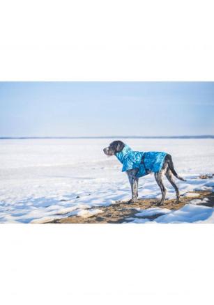 FROSTY WINTER JACKET