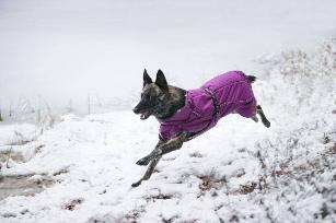 COLDZONE INSULATED JACKET