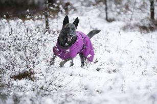 COLDZONE INSULATED JACKET