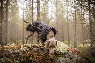 COLDZONE INSULATED JACKET