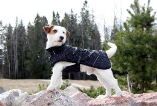 COLDZONE INSULATED JACKET