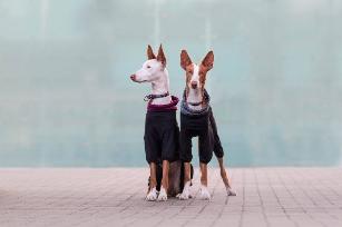 SUBRIMA TECHNICAL KNITFLEECE OVERALL TUTA TERMICA