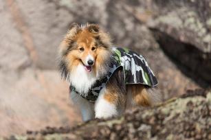 STREAM RAINCOAT