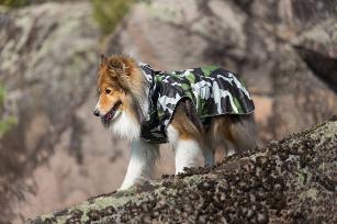 STREAM RAINCOAT