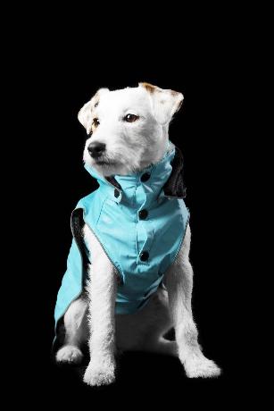 STREAM RAINCOAT