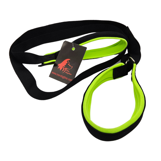 AGILITY LEASH