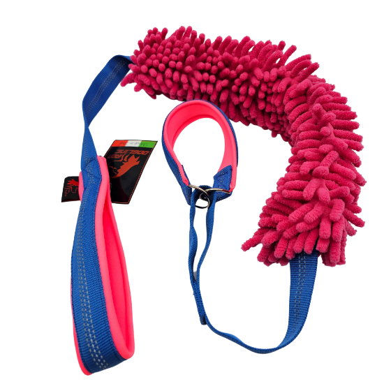 AGILITY LEASH + MOP