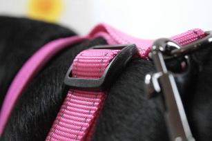 PETTORINA MINI CONFORT