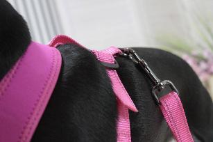 PETTORINA MINI CONFORT