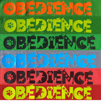 T SHIRT UOMO OBEDIENCE