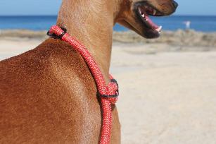 ROPE RETRIVER LEASH