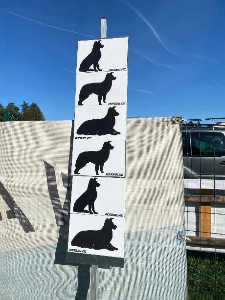 REMOTE POSITIONS SIGN OBEDIENCE