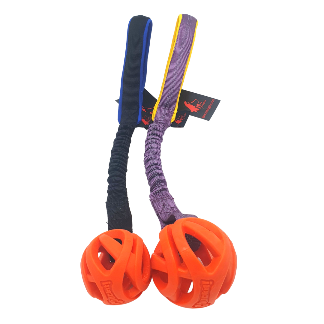 BUNGEE + ROUND CHUCKIT BALL