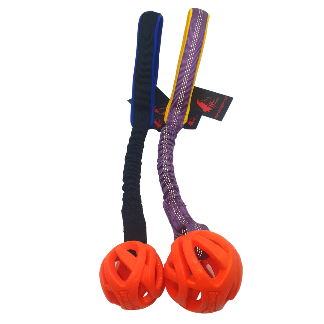 BUNGEE + ROUND CHUCKIT BALL