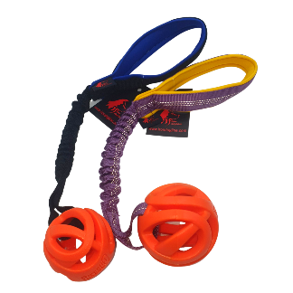 BUNGEE + ROUND CHUCKIT BALL
