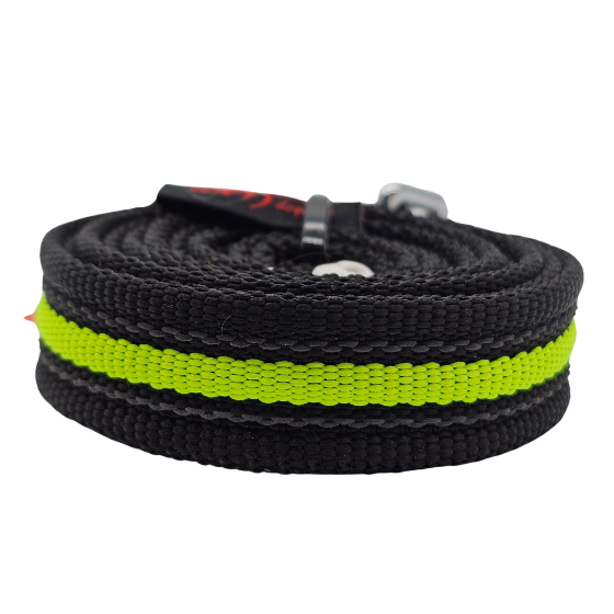 leash TRAINING EXTENSION