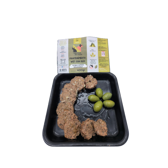 WET MAINTENANCE WITH OIL