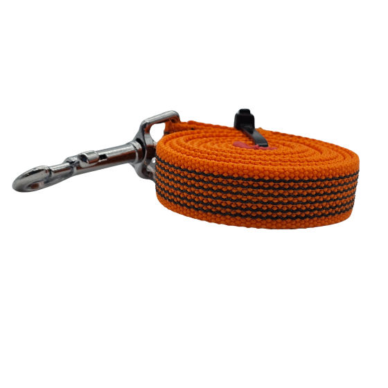 LUNGHINA ADDESTRAMENTO 