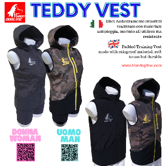 TEDDY VEST UOMO