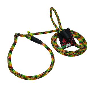 GUINZAGLIO RETRIVER
