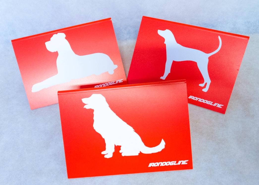 KIT CARTELLI POSIZIONI OBEDIENCE
