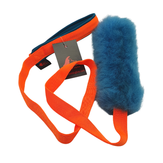 SHEEP FIXED 120