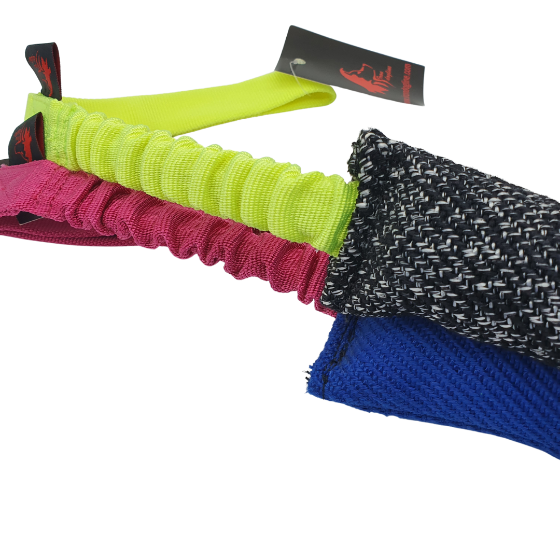 SALAMOTTO BUNGEE