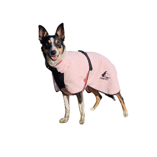 ACCAPPATOIO CANE